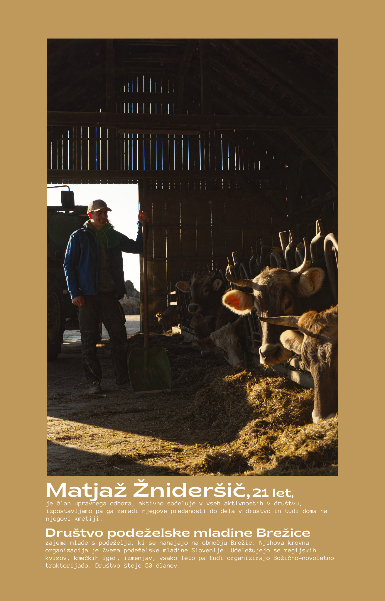 Otvoritev razstave Mladi prostovoljci v Brežicah