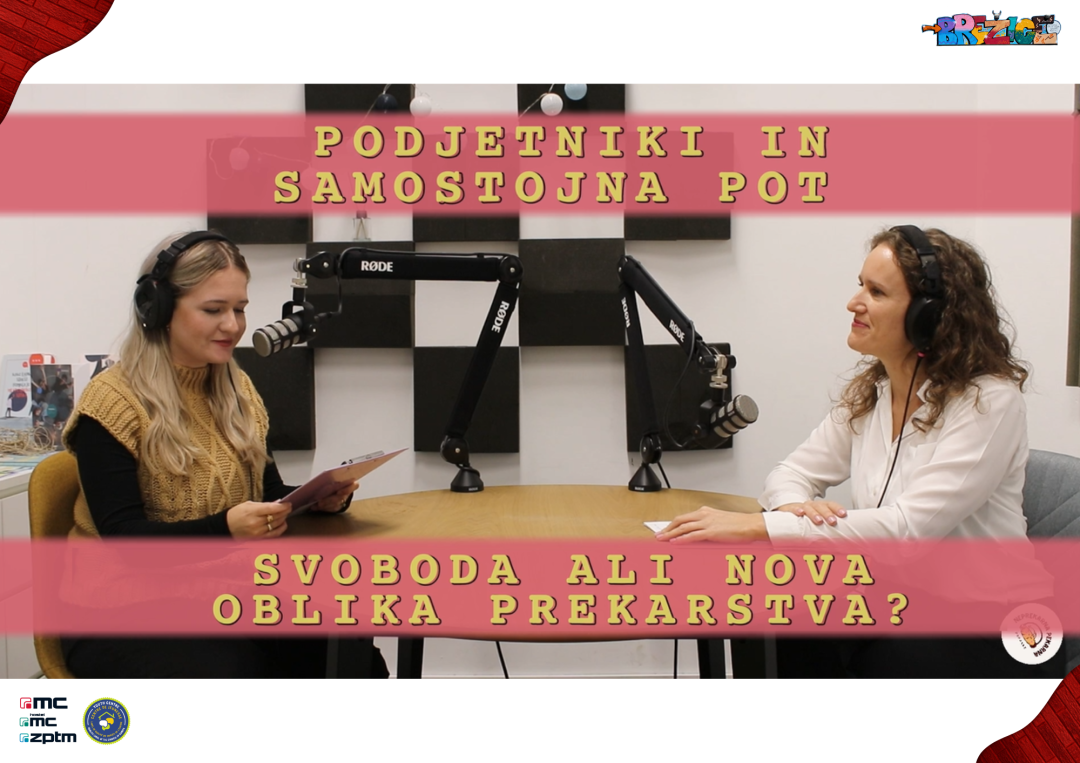 Podjetniki in samostojna pot – svoboda ali nova oblika prekarstva?