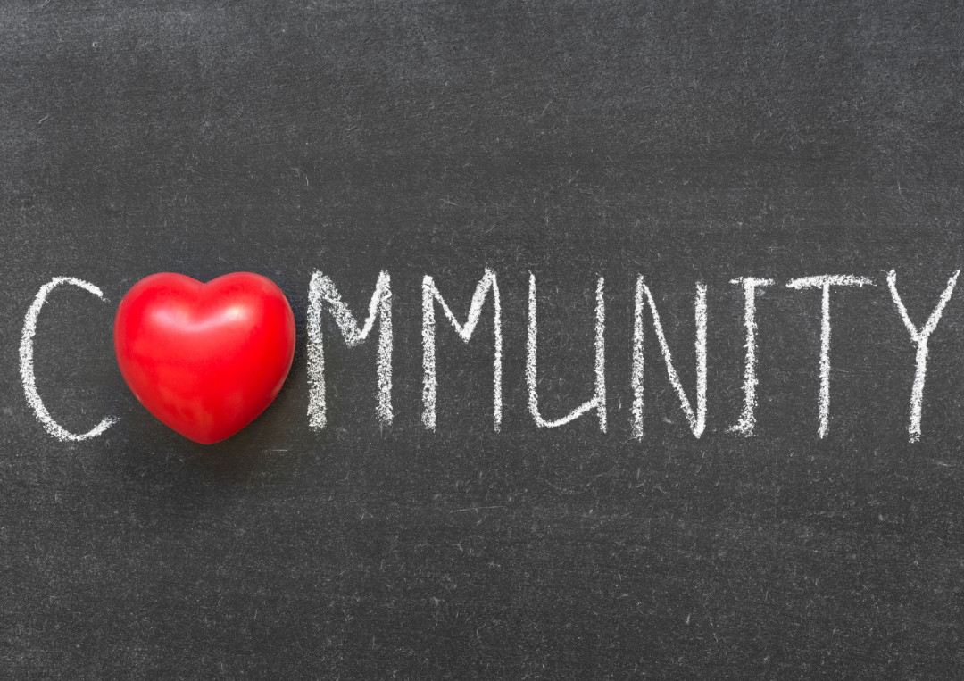 Soustvarimo skupnost