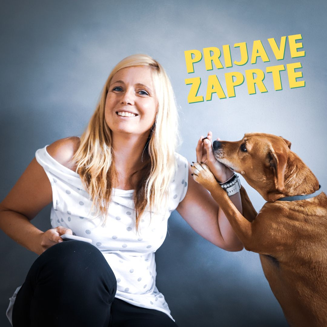 Fotografija s telefonom