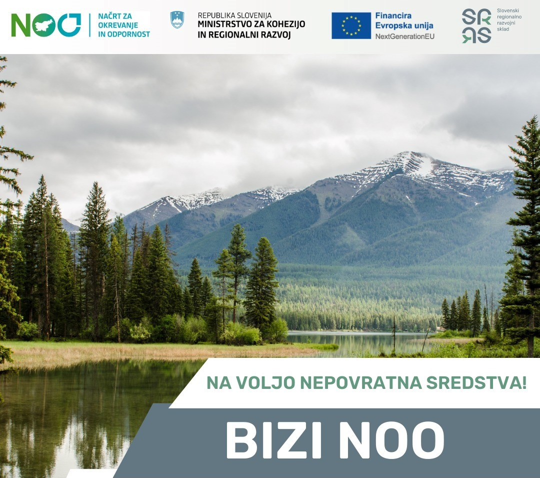 Javni razpis BIZI NOO
