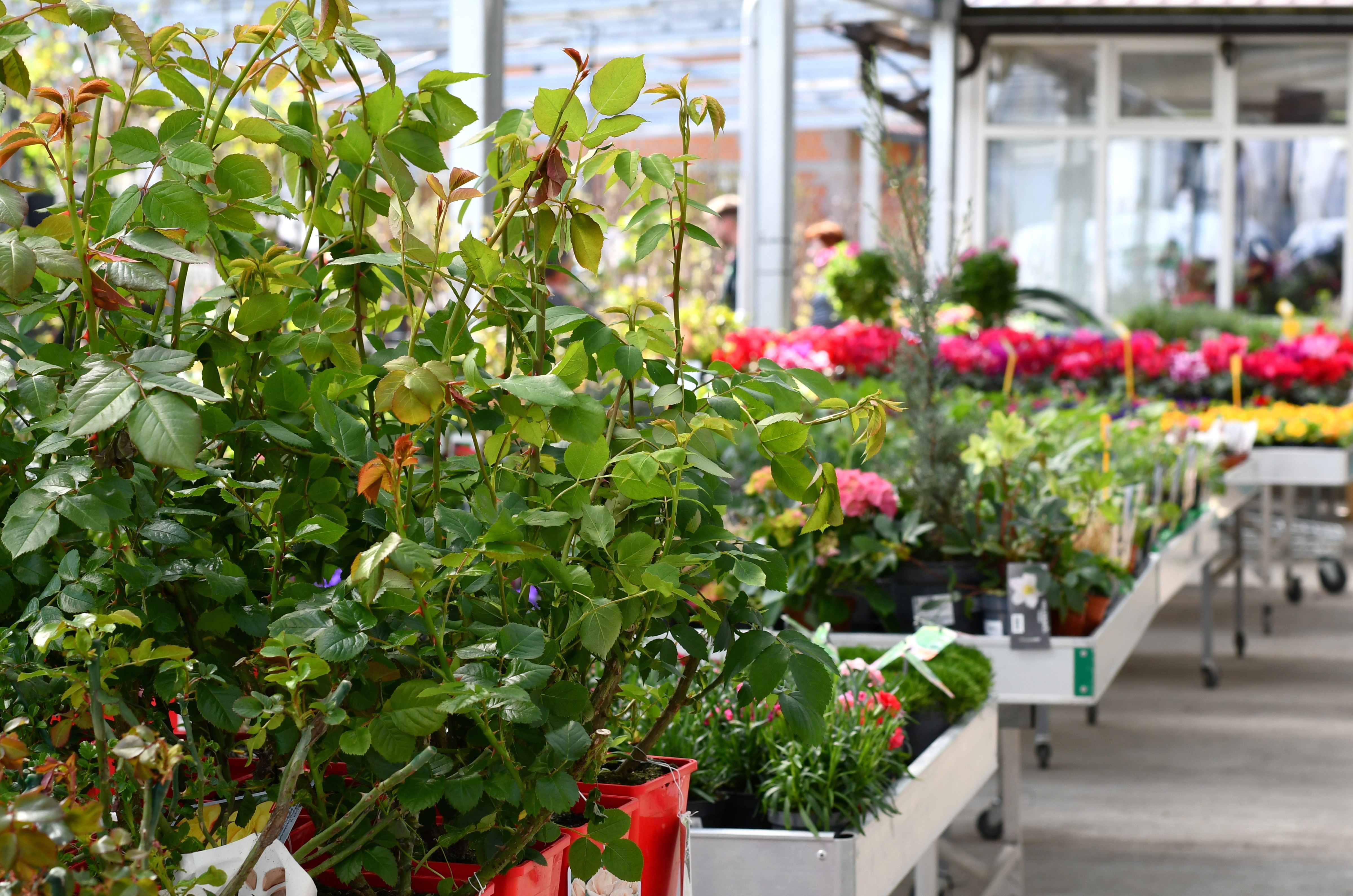 Kmetijska trgovina Cerjak