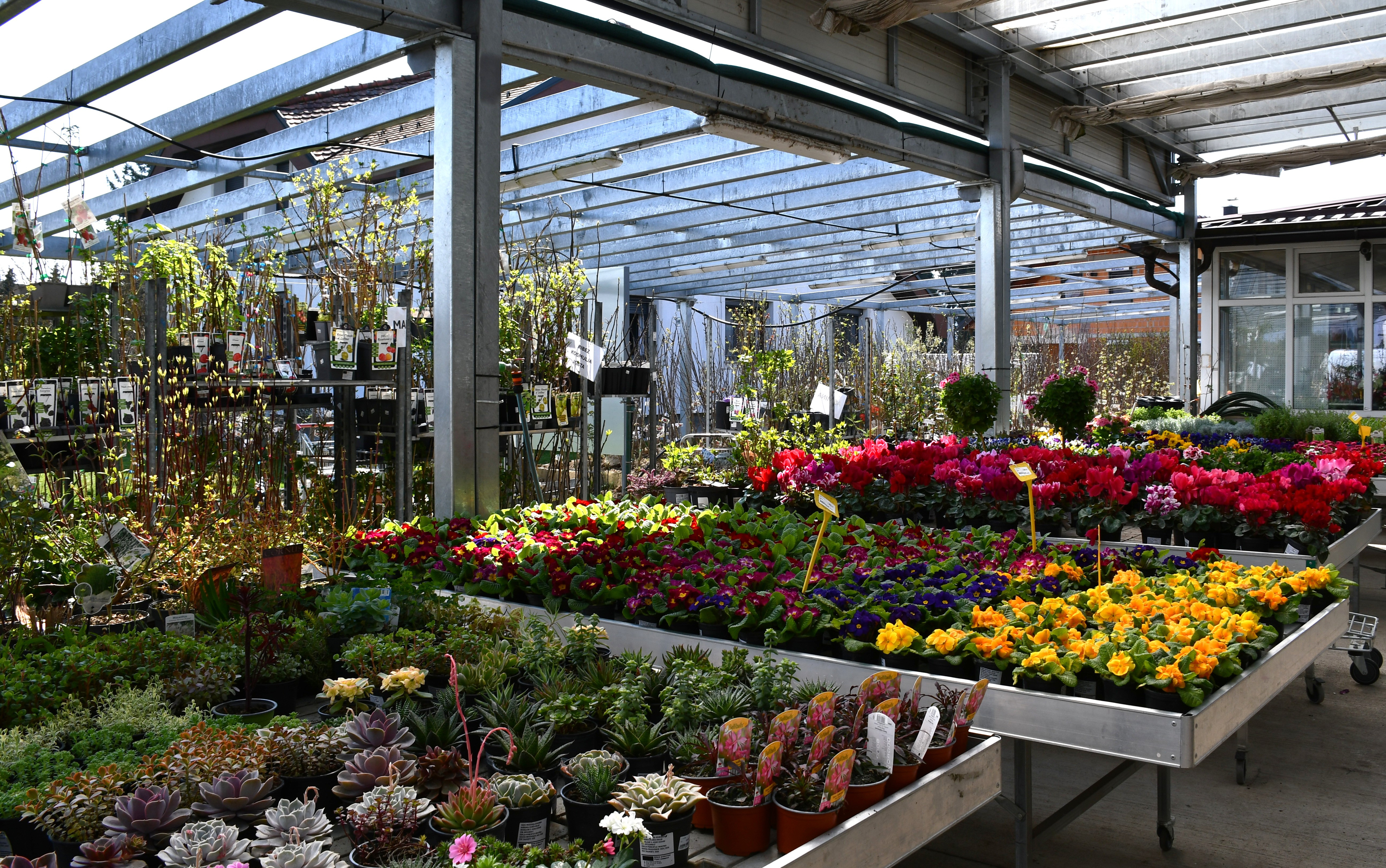 Kmetijska trgovina Cerjak