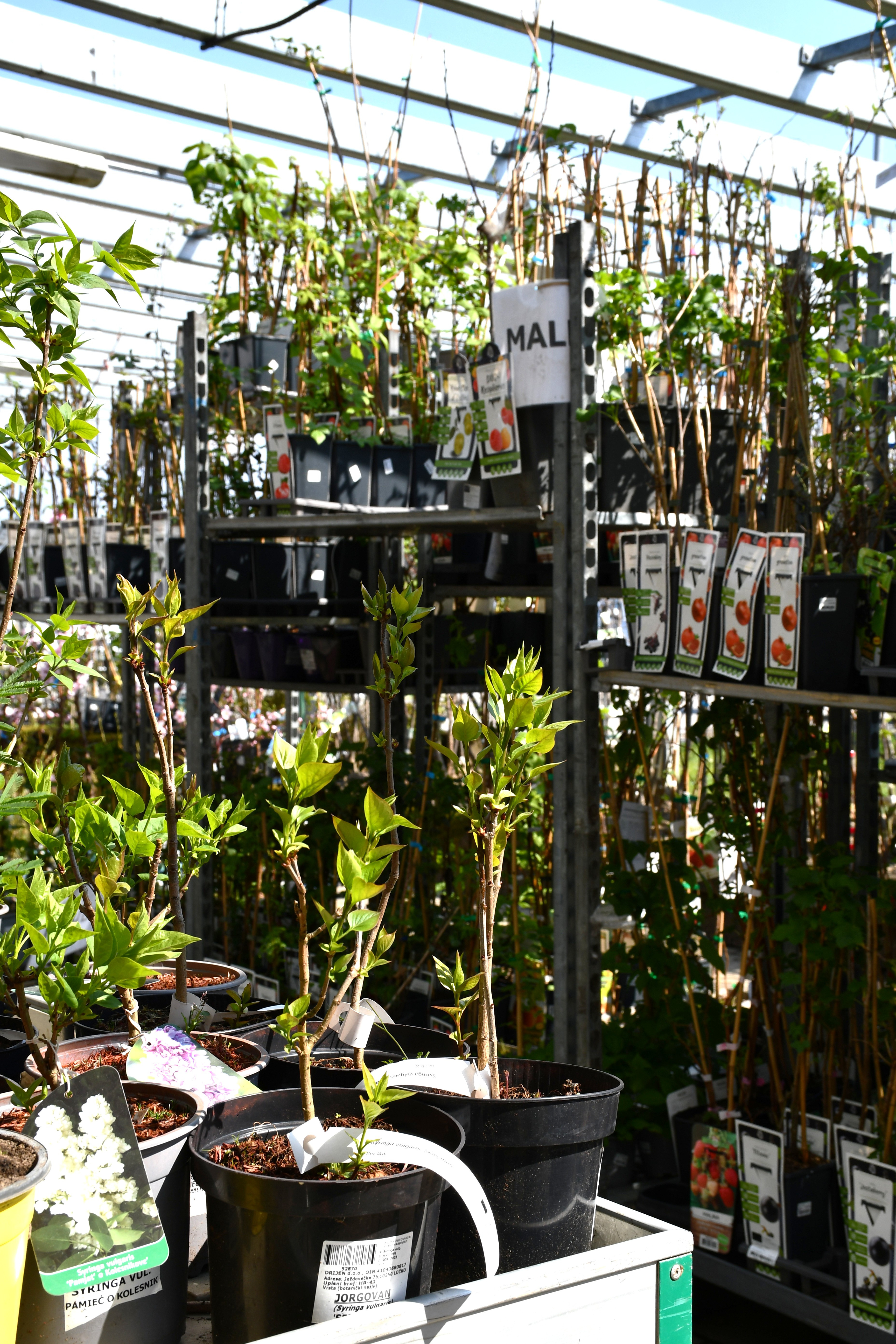 Kmetijska trgovina Cerjak