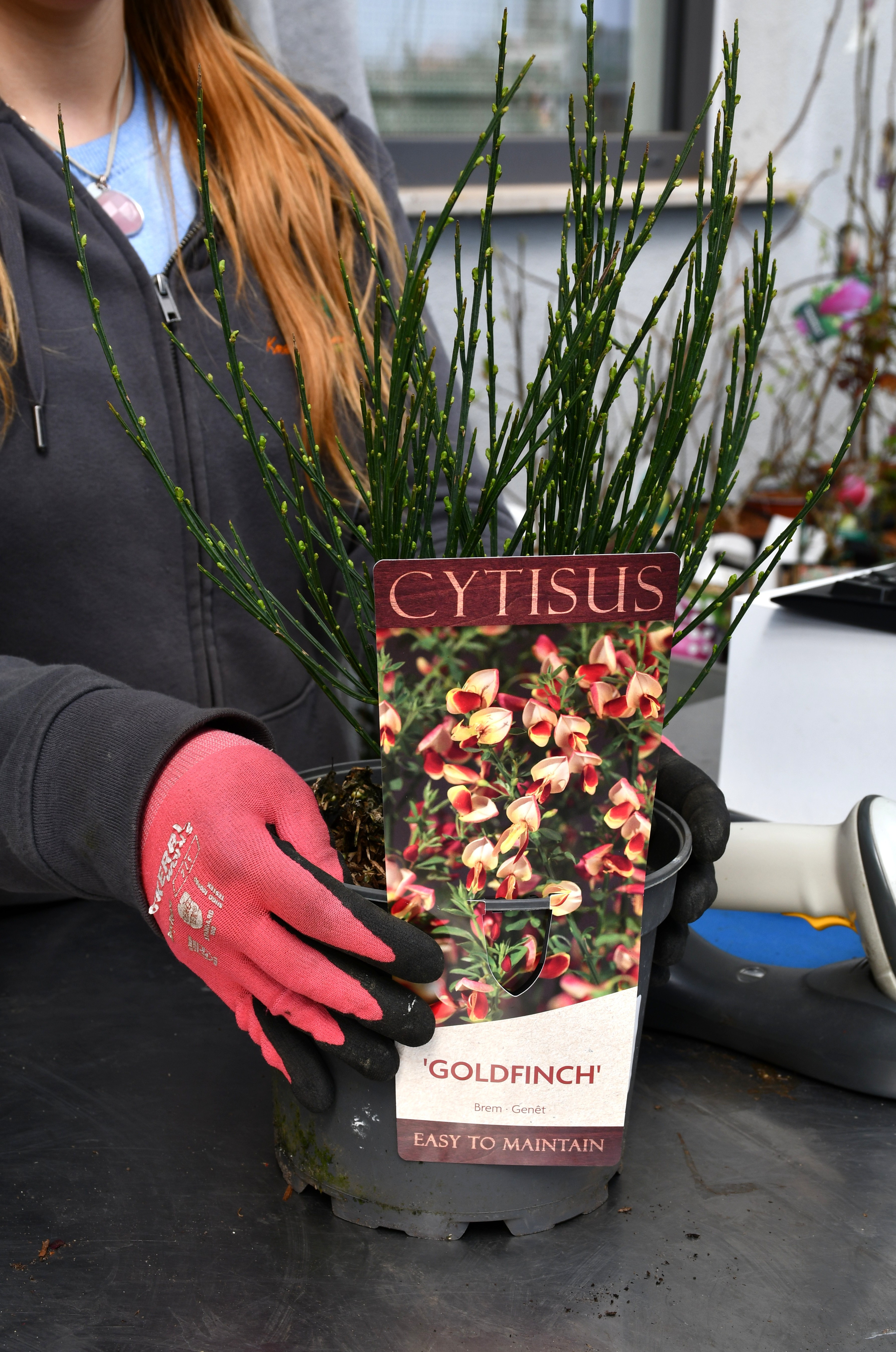 Kmetijska trgovina Cerjak