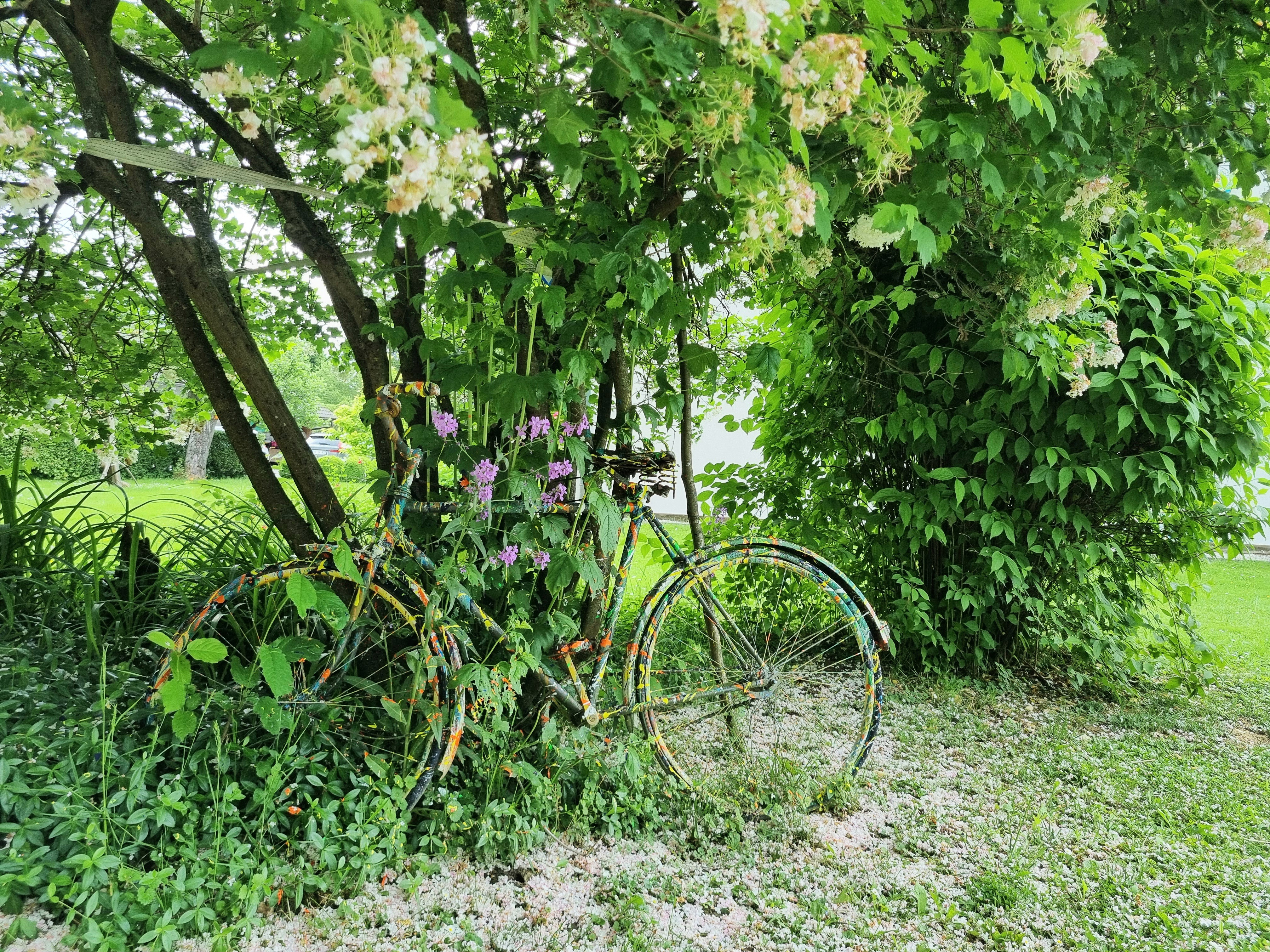 Podjetniški utrinki: RAJART, Rajko Požar s.p.