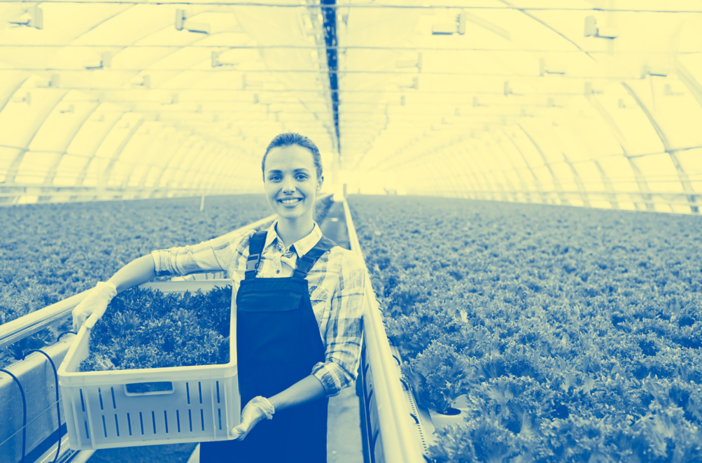 Program EWA drugič v Sloveniji