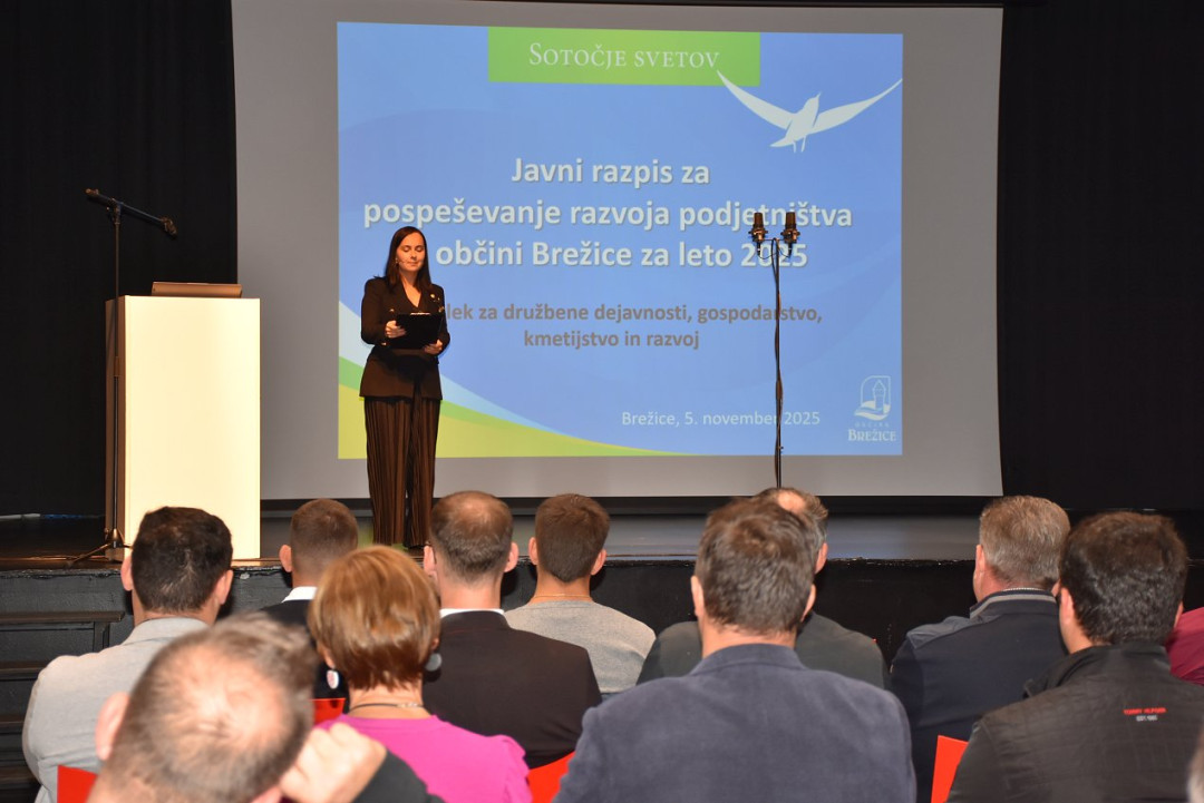 Rezultati razpisa za pospeševanje razvoja podjetništva v občini v 2025