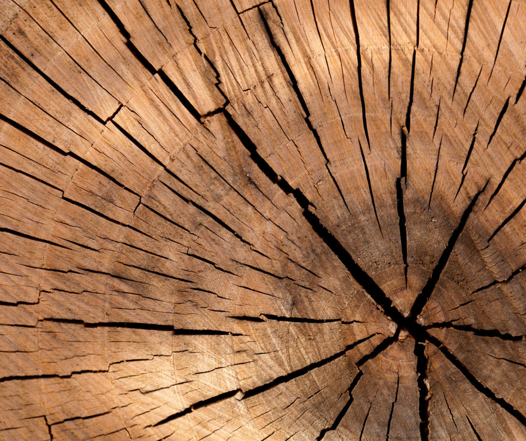 Spodbude za mikro podjetja v lesarstvu - P4LM 2024