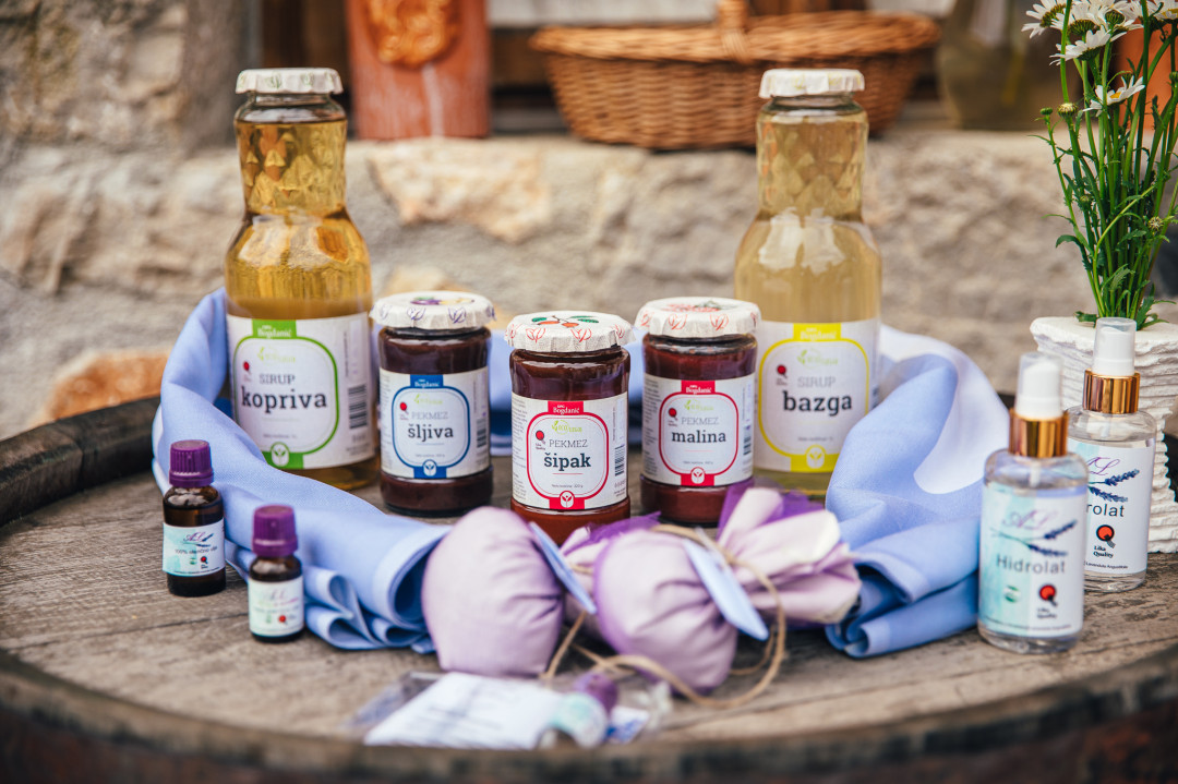 Strokovna ekskurzija