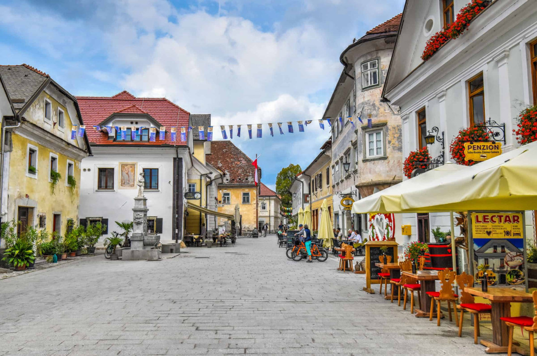 Strokovna ekskurzija