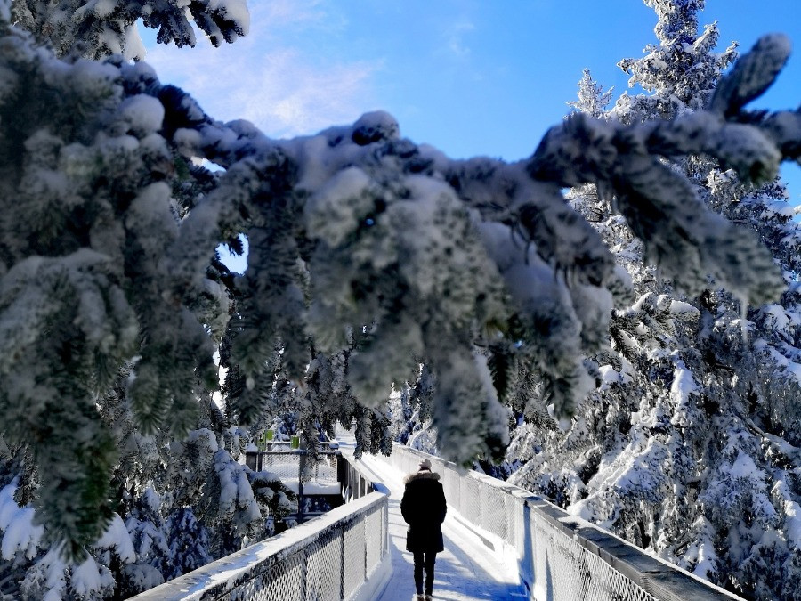 Študijski obisk destinacije Rogla-Pohorje