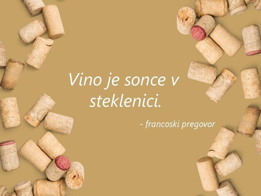 Študijski obisk destinacije Rogla-Pohorje