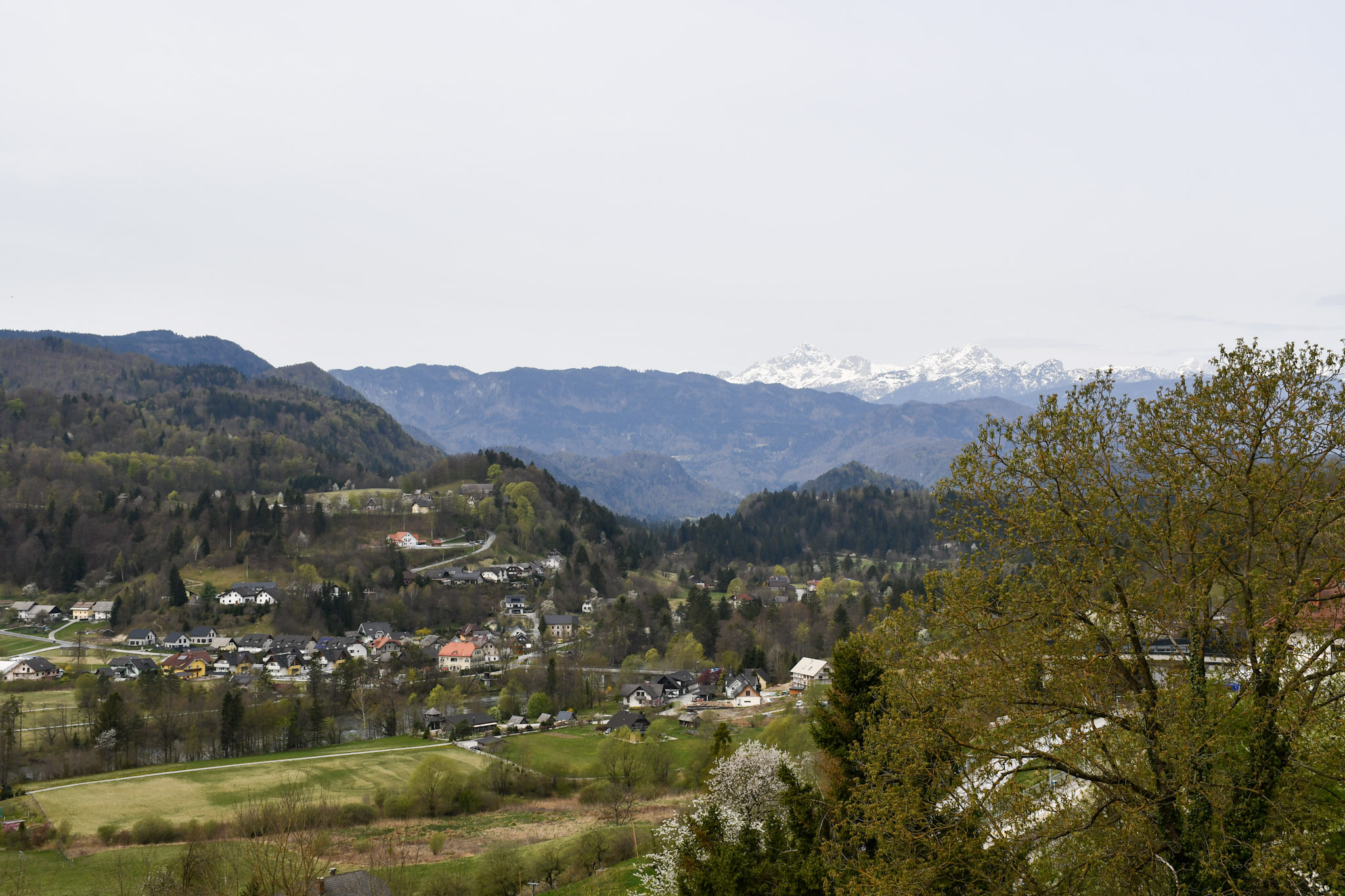 Utrinki iz strokovne ekskurzije v Radovljico
