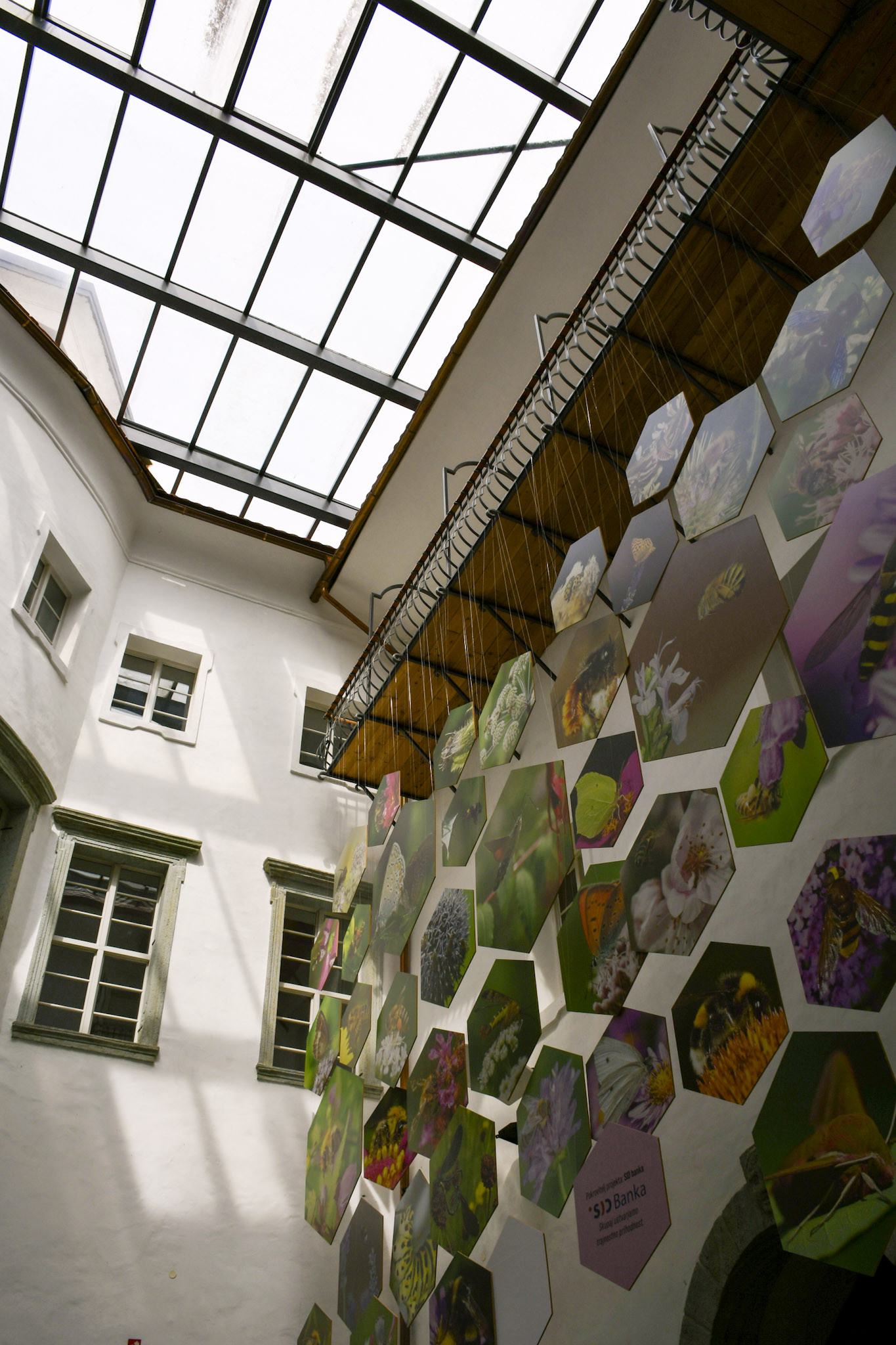 Utrinki iz strokovne ekskurzije v Radovljico