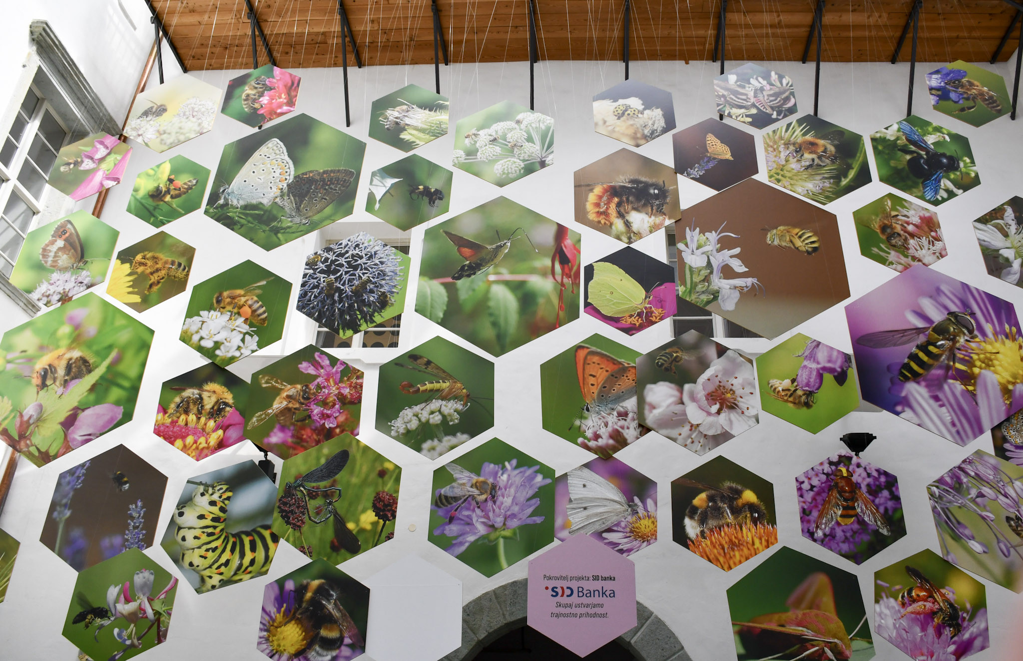 Utrinki iz strokovne ekskurzije v Radovljico