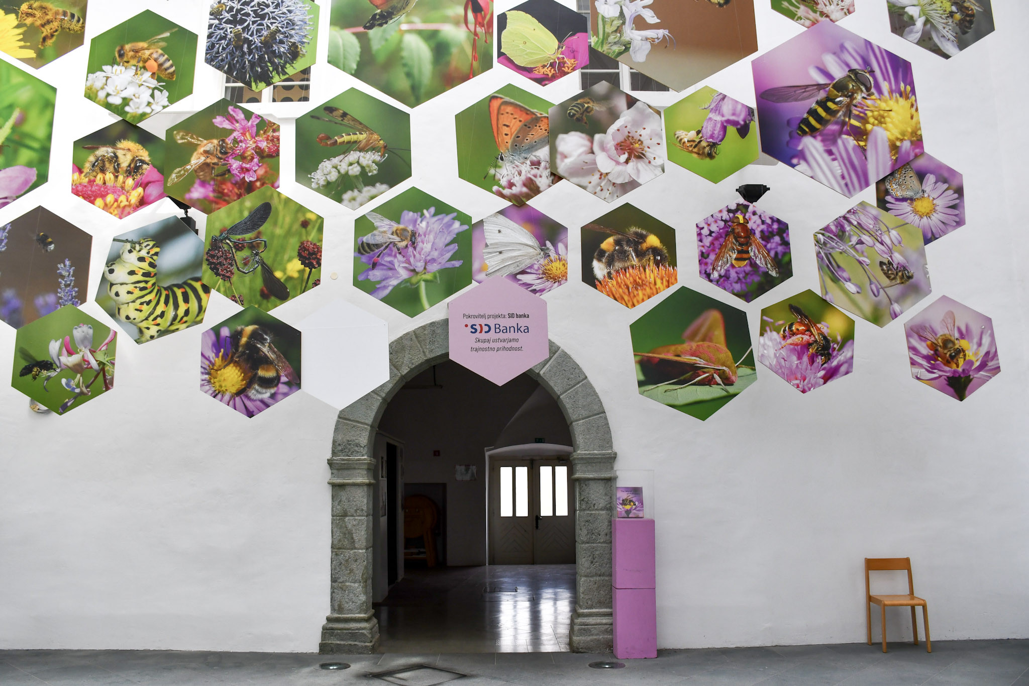 Utrinki iz strokovne ekskurzije v Radovljico