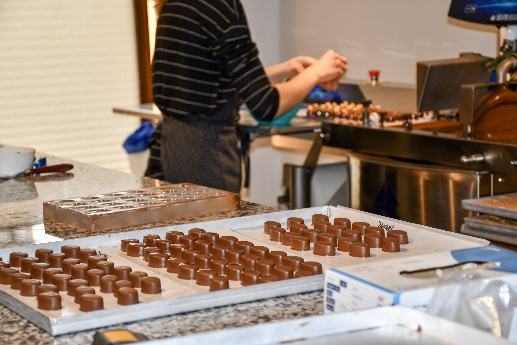 Utrinki iz strokovne ekskurzije v Radovljico