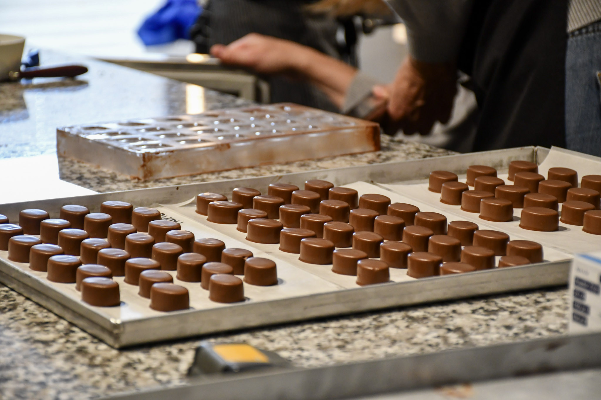 Utrinki iz strokovne ekskurzije v Radovljico