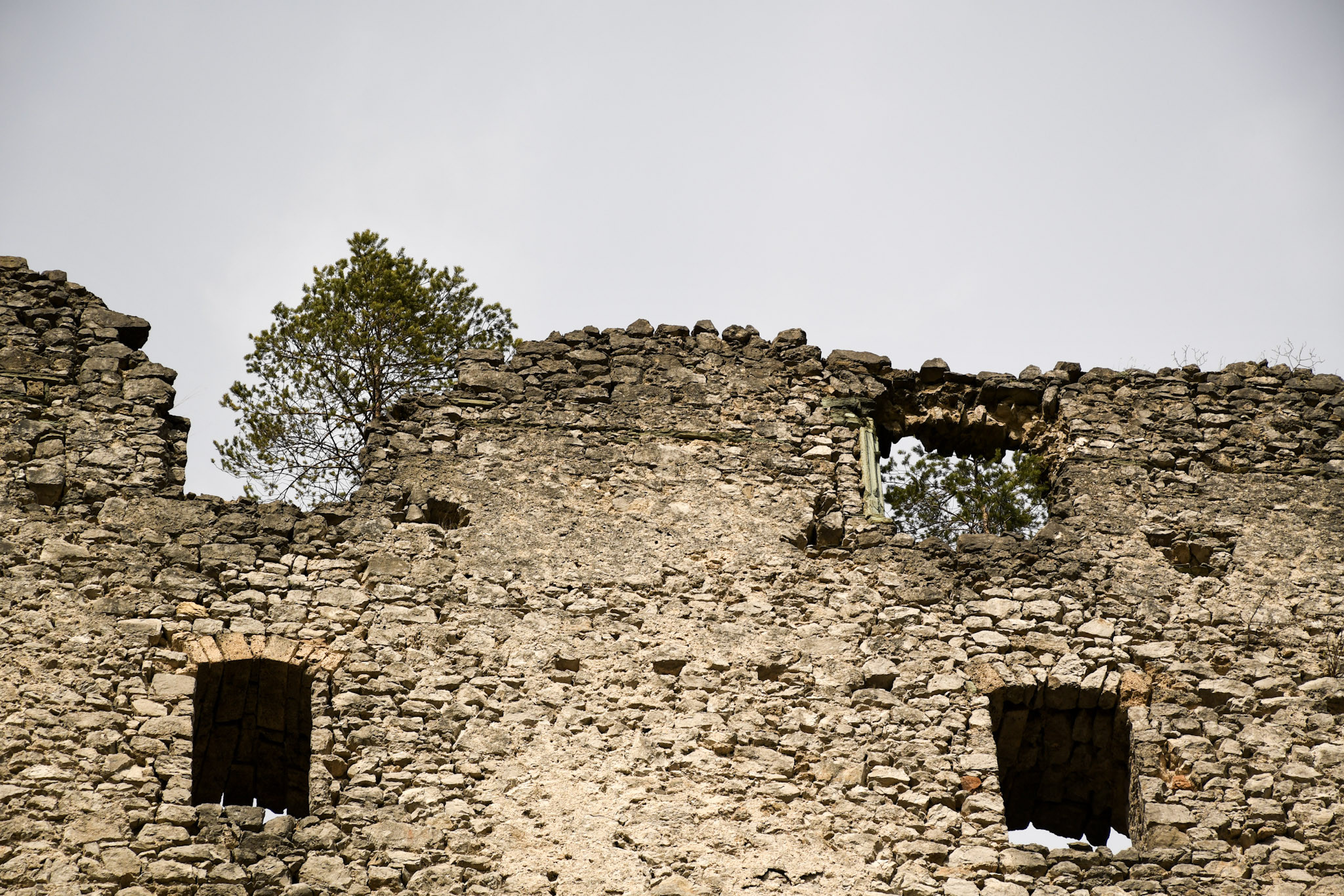 Utrinki iz strokovne ekskurzije v Radovljico