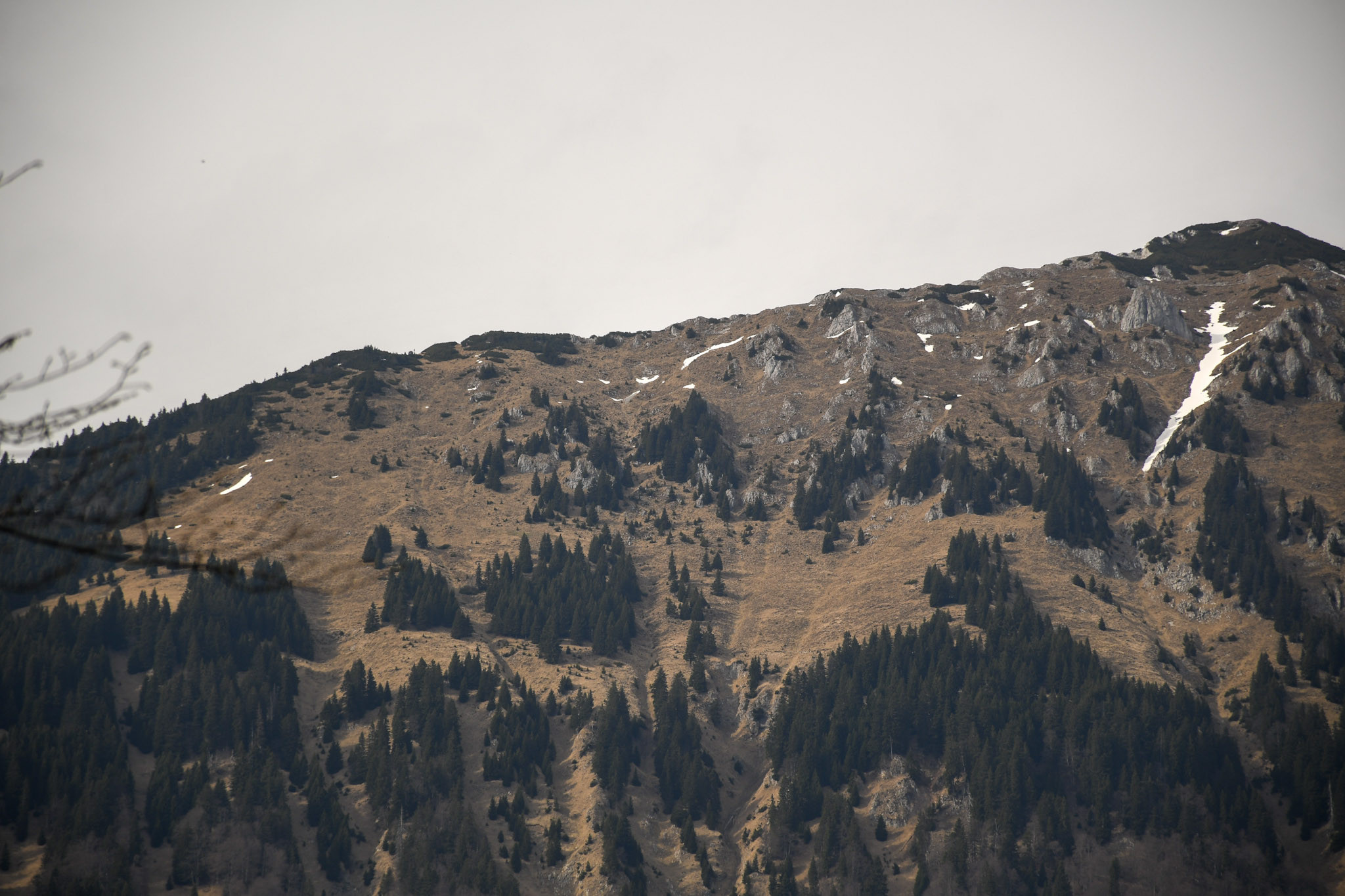 Utrinki iz strokovne ekskurzije v Radovljico