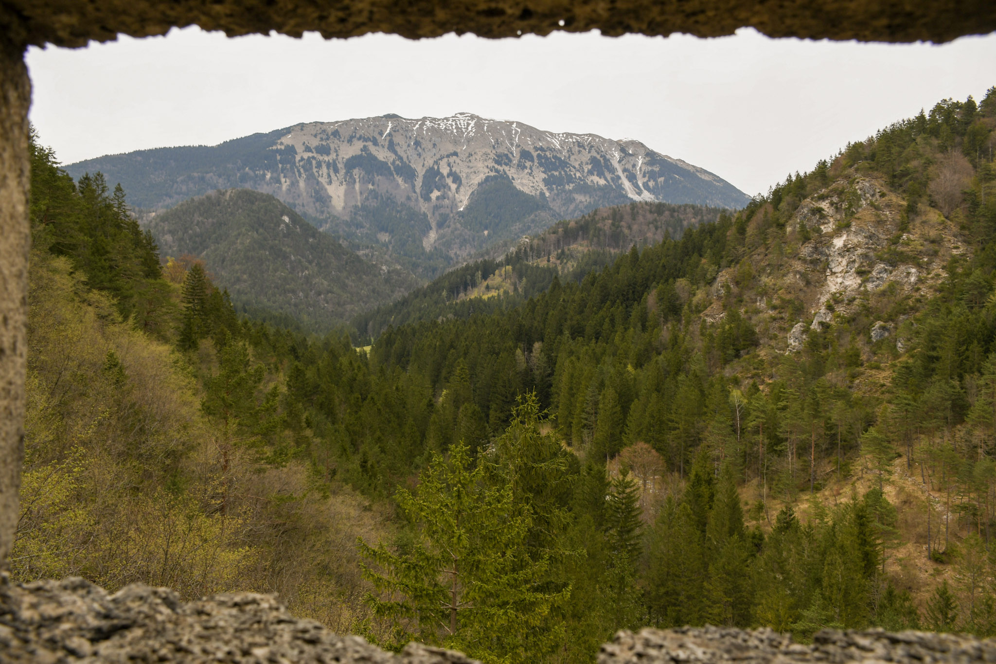 Utrinki iz strokovne ekskurzije v Radovljico
