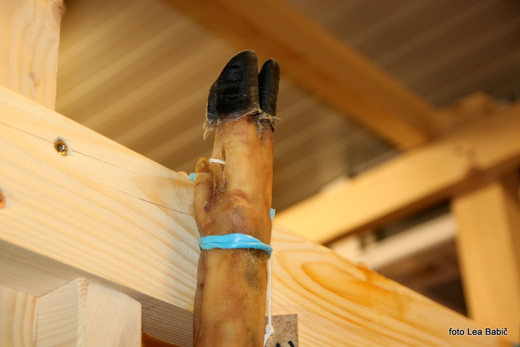 Utrinki s strokovne ekskurzije na Kras