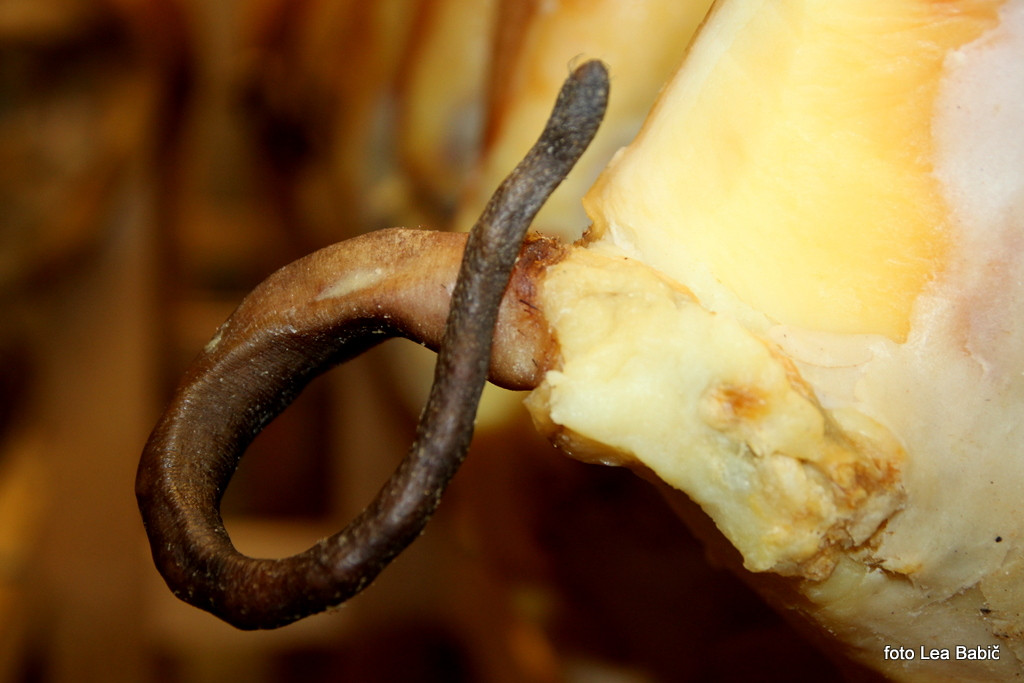 Utrinki s strokovne ekskurzije na Kras