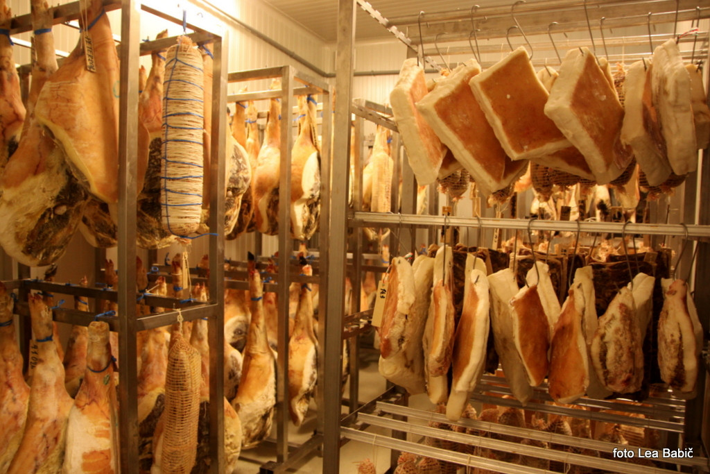 Utrinki s strokovne ekskurzije na Kras