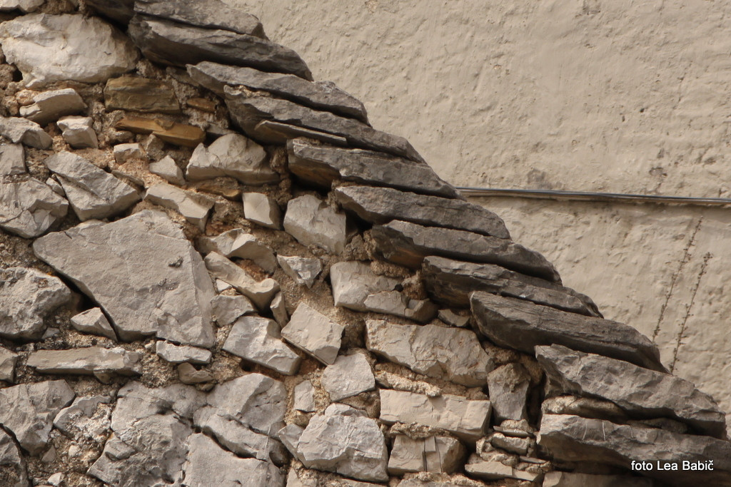 Utrinki s strokovne ekskurzije na Kras