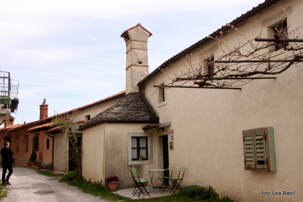 Utrinki s strokovne ekskurzije na Kras