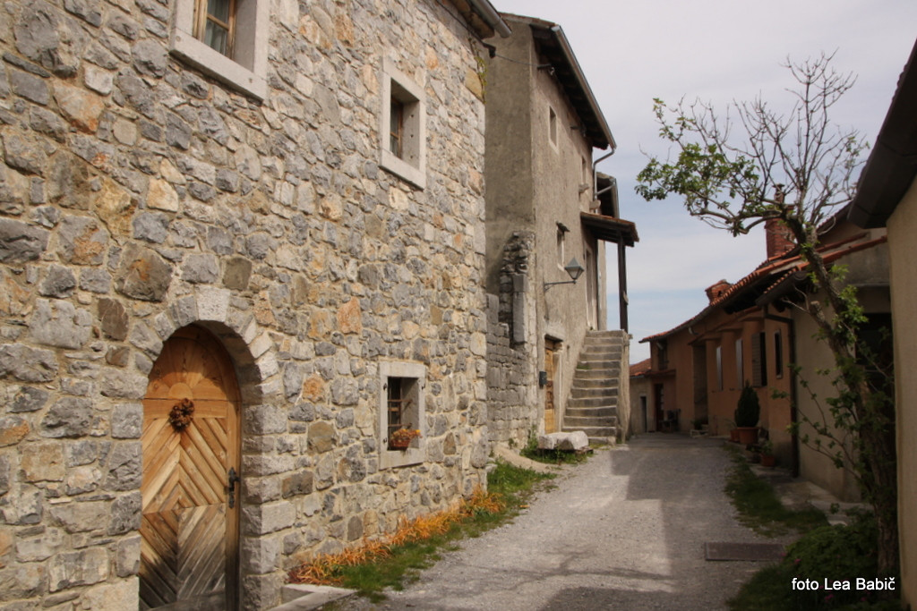 Utrinki s strokovne ekskurzije na Kras