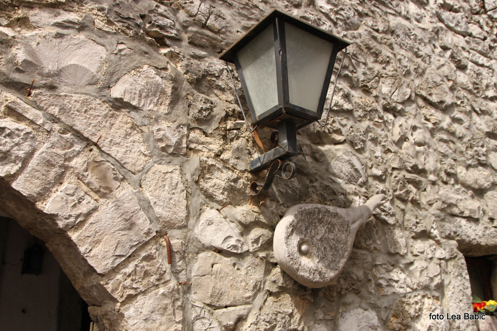 Utrinki s strokovne ekskurzije na Kras