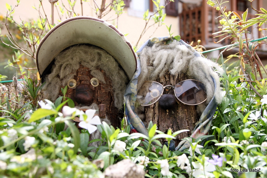 Utrinki s strokovne ekskurzije na Kras