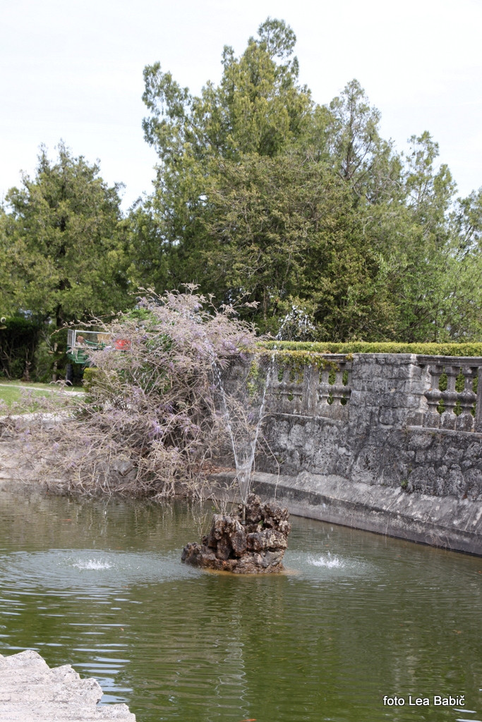 Utrinki s strokovne ekskurzije na Kras