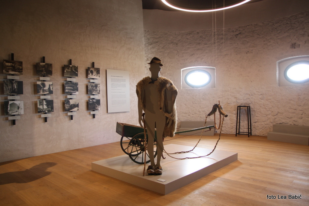 Utrinki s strokovne ekskurzije na Kras