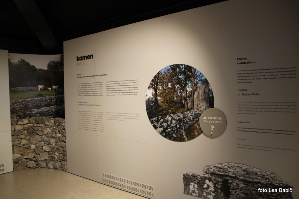 Utrinki s strokovne ekskurzije na Kras