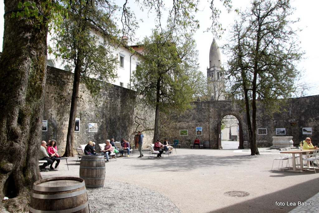 Utrinki s strokovne ekskurzije na Kras