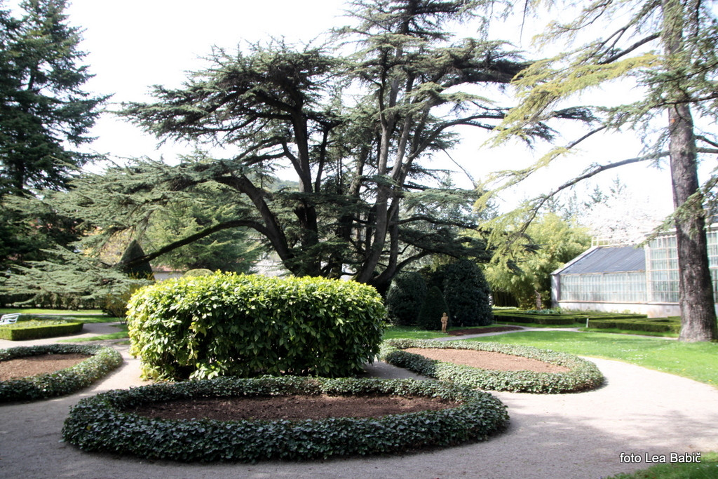 Utrinki s strokovne ekskurzije na Kras