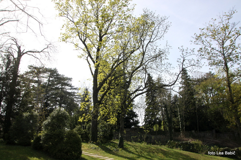 Utrinki s strokovne ekskurzije na Kras