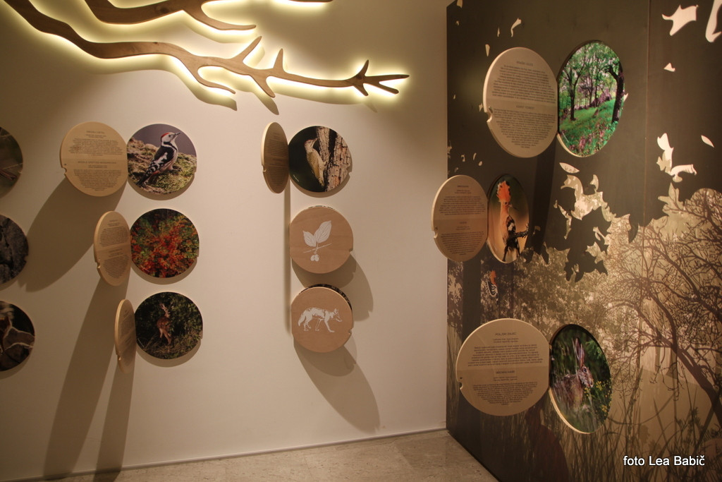 Utrinki s strokovne ekskurzije na Kras