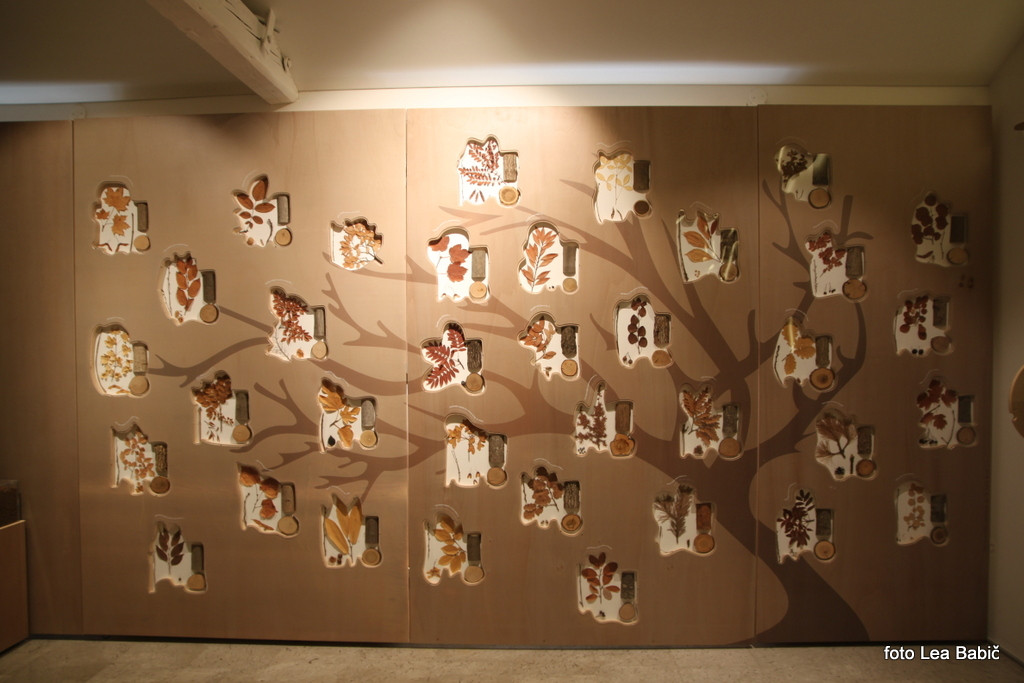 Utrinki s strokovne ekskurzije na Kras