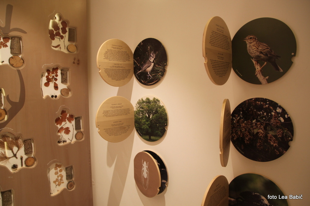 Utrinki s strokovne ekskurzije na Kras