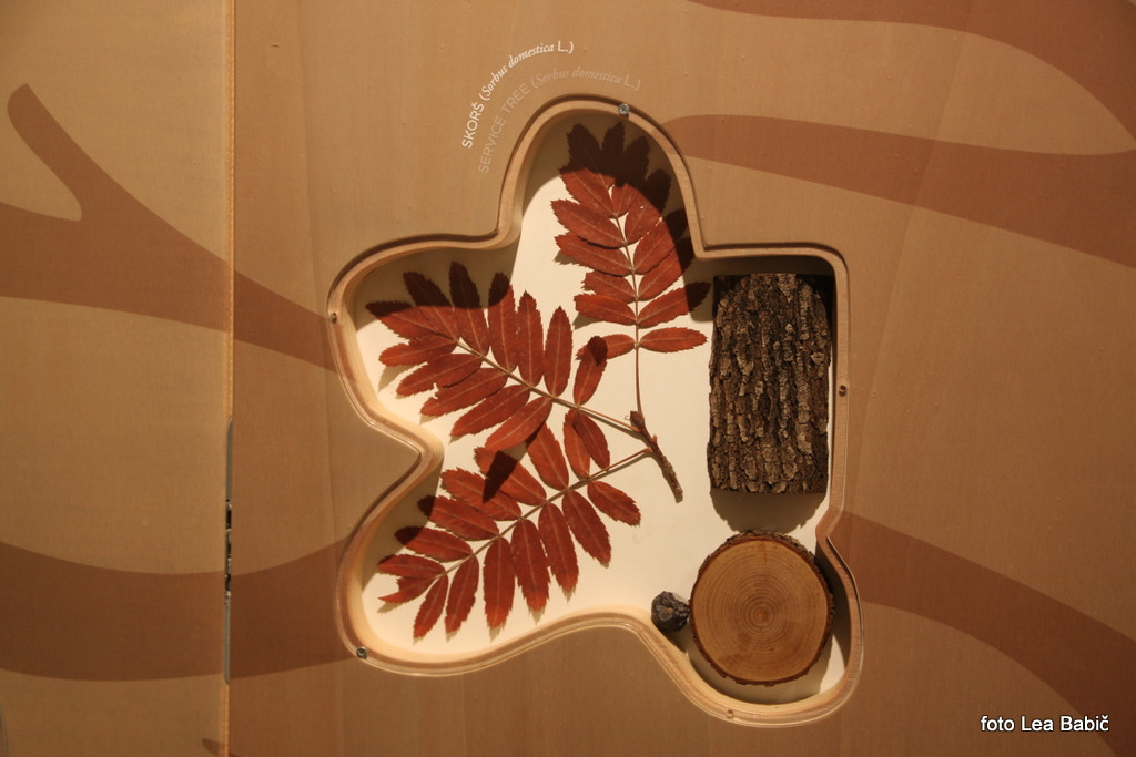 Utrinki s strokovne ekskurzije na Kras