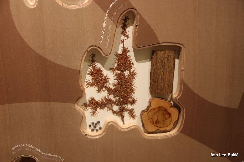 Utrinki s strokovne ekskurzije na Kras