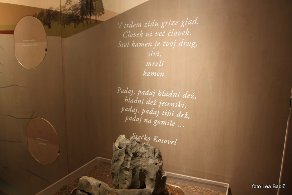 Utrinki s strokovne ekskurzije na Kras