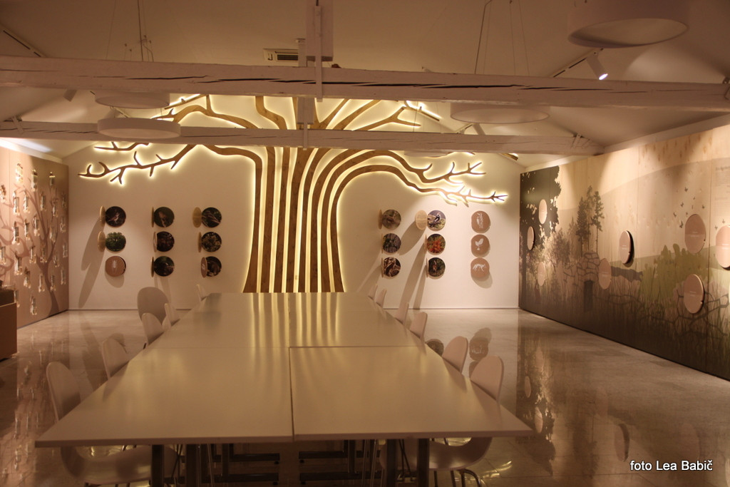 Utrinki s strokovne ekskurzije na Kras