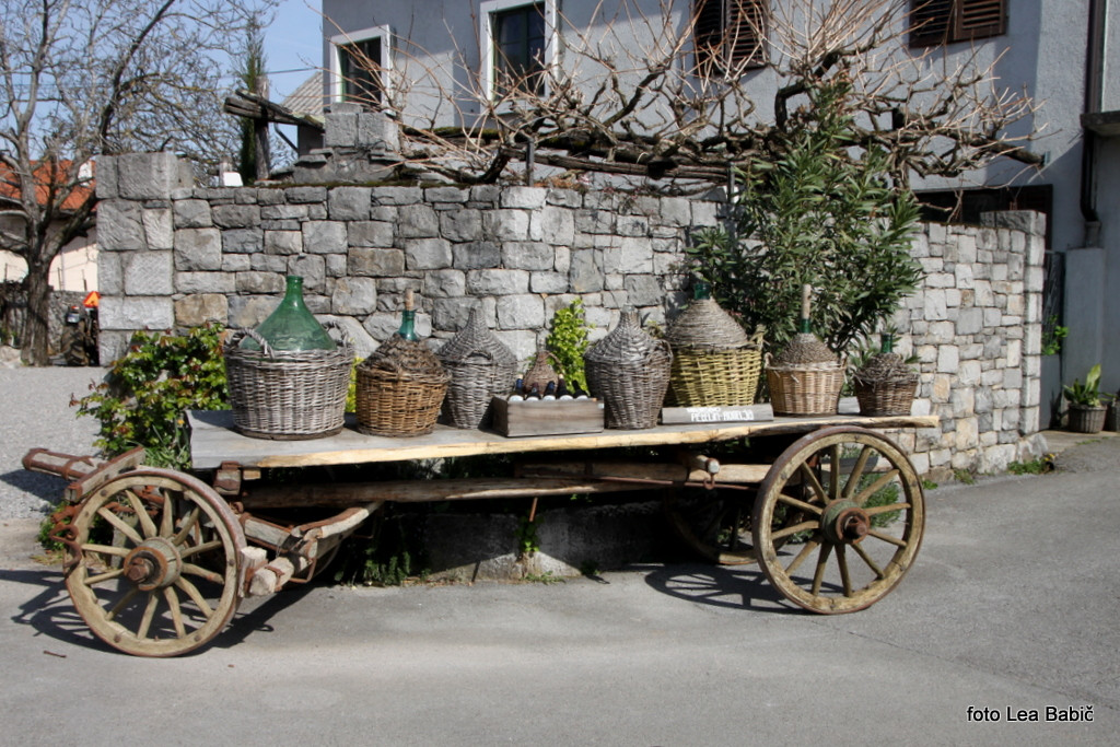 Utrinki s strokovne ekskurzije na Kras