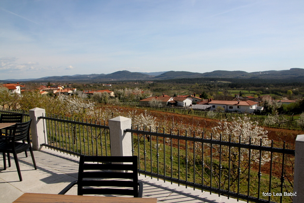 Utrinki s strokovne ekskurzije na Kras