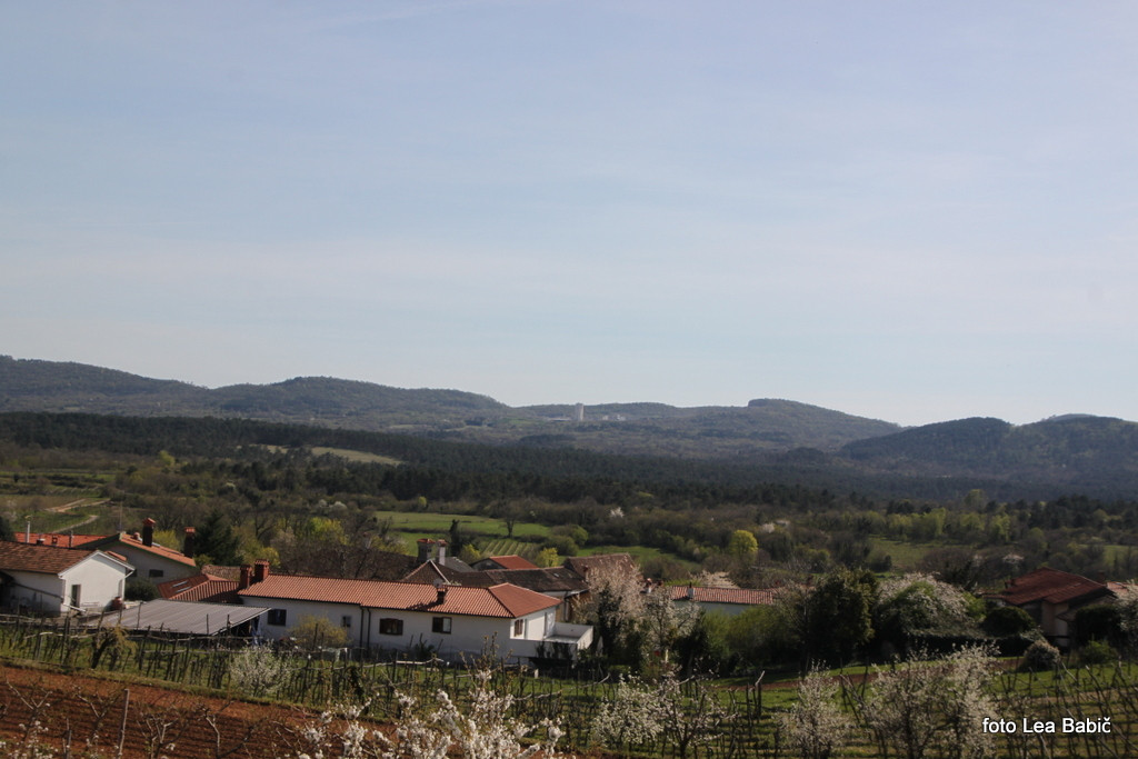 Utrinki s strokovne ekskurzije na Kras